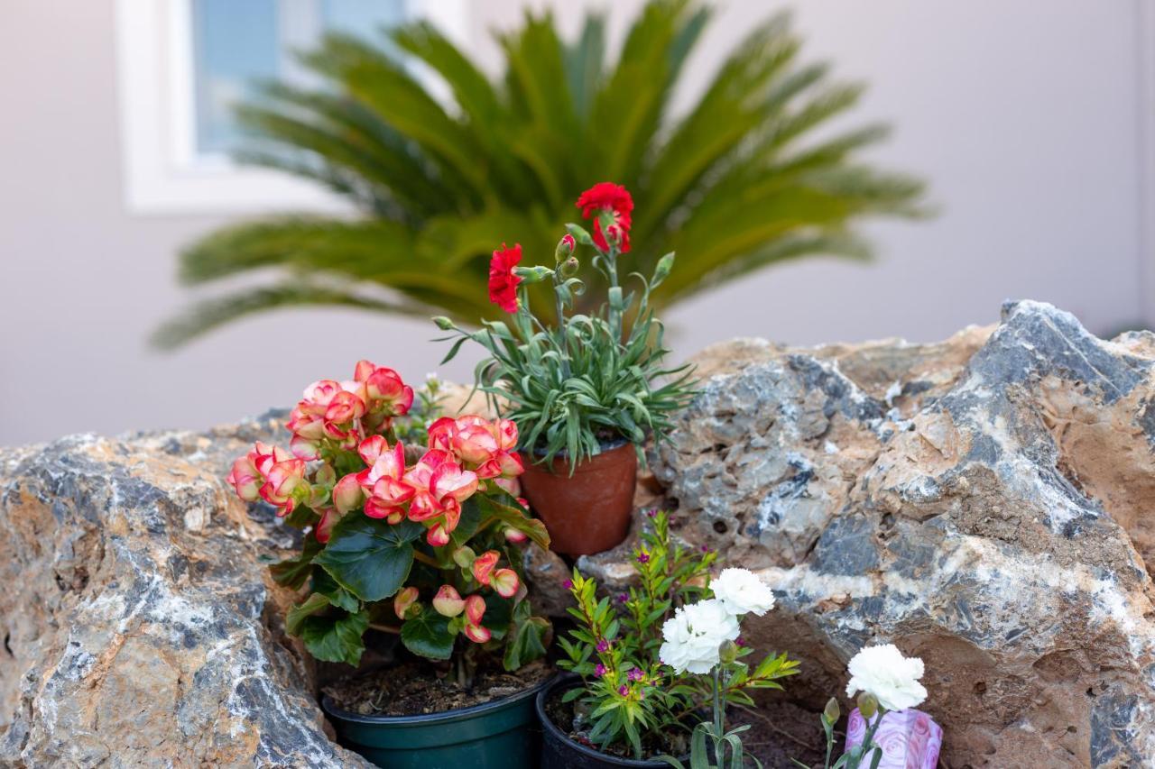 Nightingale Villa & Suites Corfu Gazátika Kültér fotó